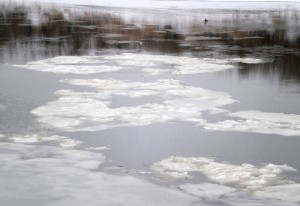 На Туре в районе г. Туринска такого раннего появления плавучего льда не было с 1984 года. Фото Замошского Ю.П. 