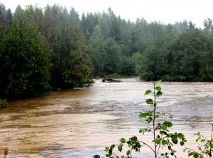 2015-08-21 река Катышер