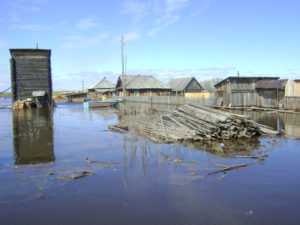 2016-05-12-3 река Сосьва зашла на ул Набережную в пос. Гари. фото Осиповой В. П.